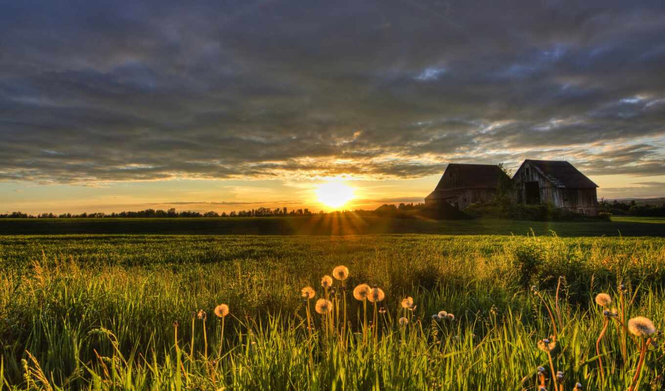 nature, sky, sunset, field, square, add, cloud, dandelion, farm, complain, rural