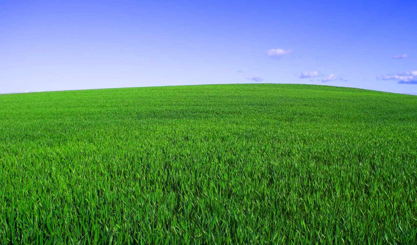 небо, трава, горизонт