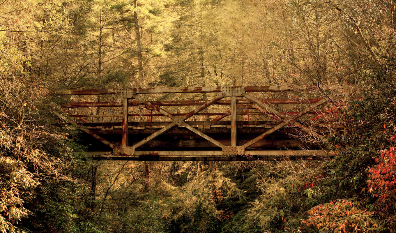 природа, map, металл, мост, лесу, железный, старый, ржавый, фотообои