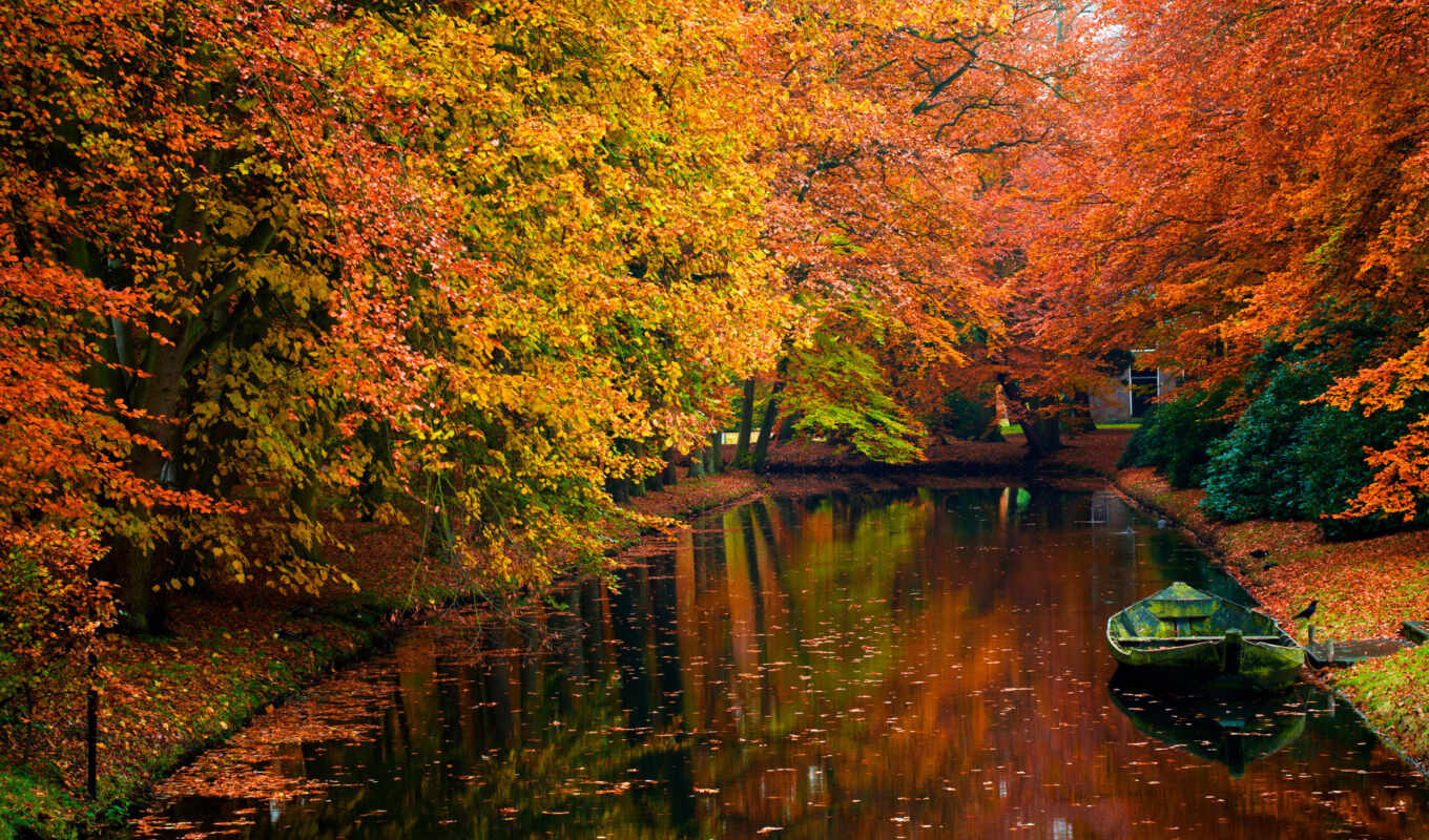 completely, autumn, foliage, pond, wpapers