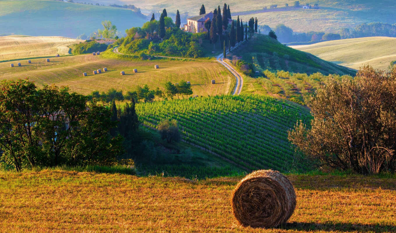 природа, поле, landscape, italian, hill, italy, сено, фотообои, toskannyi