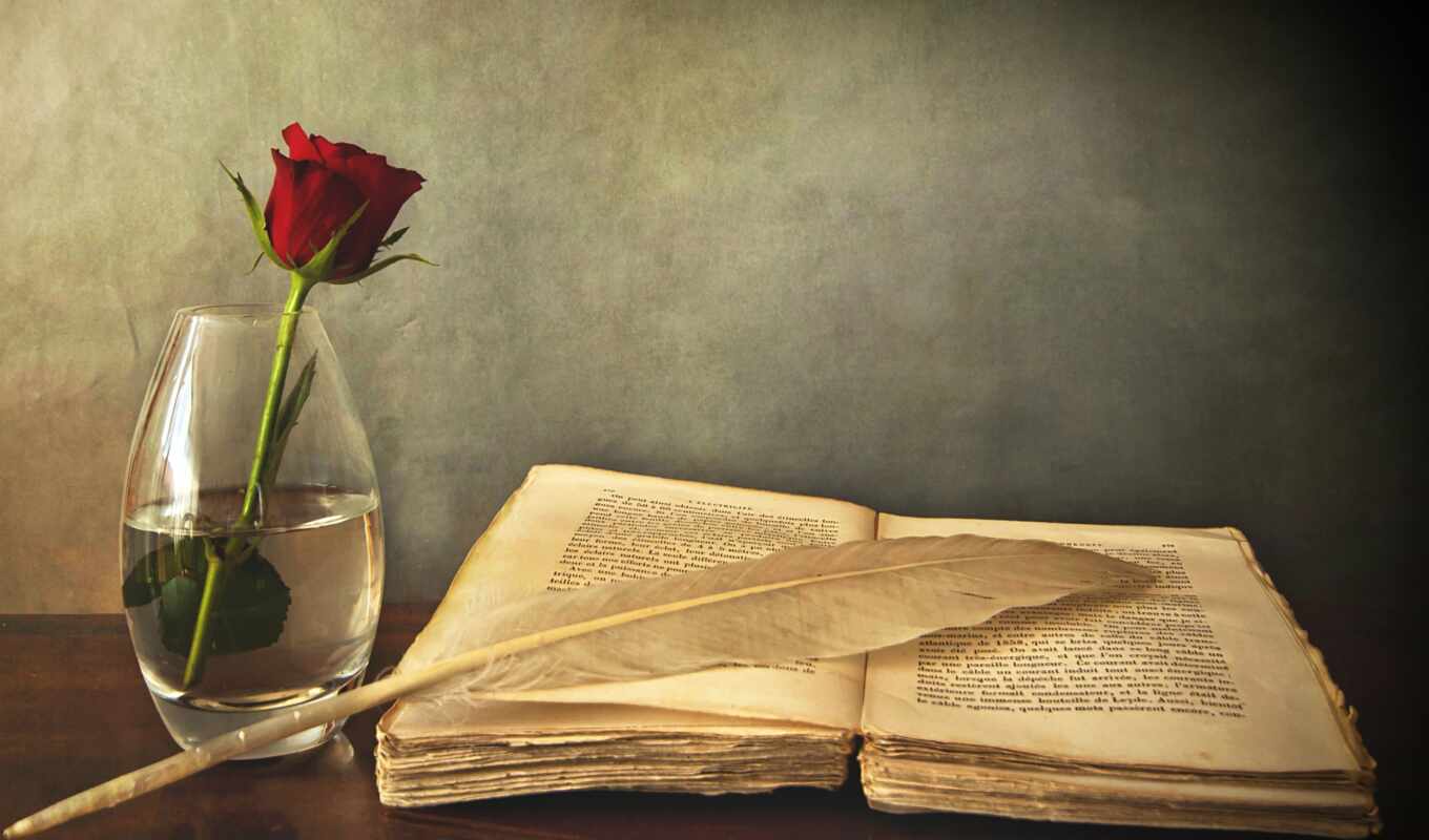 цветы, роза, взгляд, книга, столе, красная, ваза, перо, старая, вазе