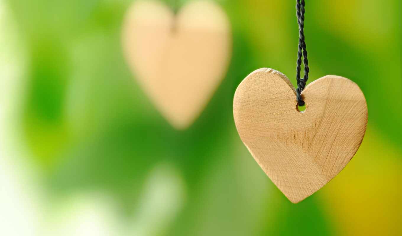 love, сердечки, макро, зелёный, сердце, деревянные, сердца, сердечка, бумаги