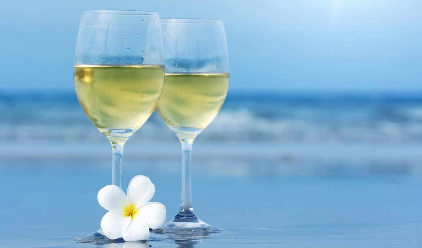 white, glass, wine, sea, pathos, leonardo, vinodelie