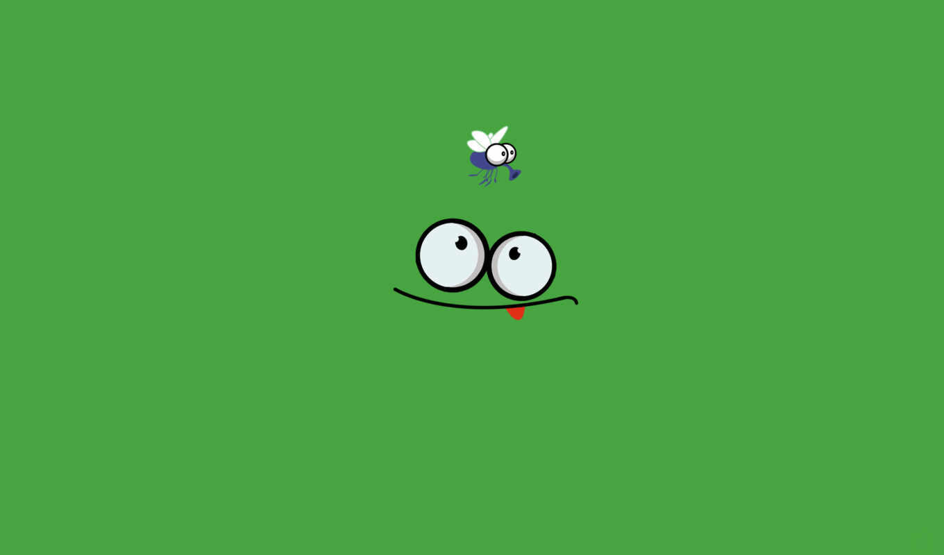 картинка, зелёный, лягушка, язык, охота, засада, муха