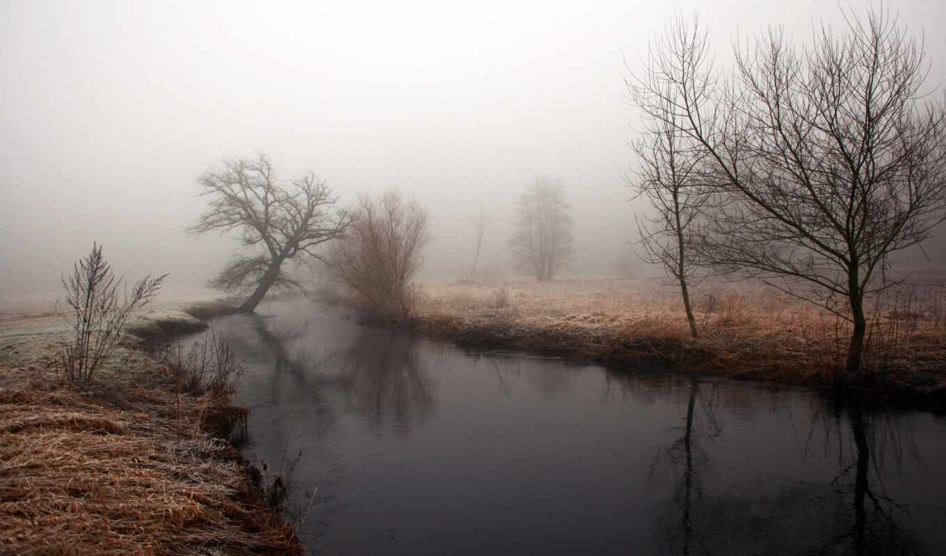 water, time, осень, утро, река, trees, туман, отражение, берега, хмурое, сырость