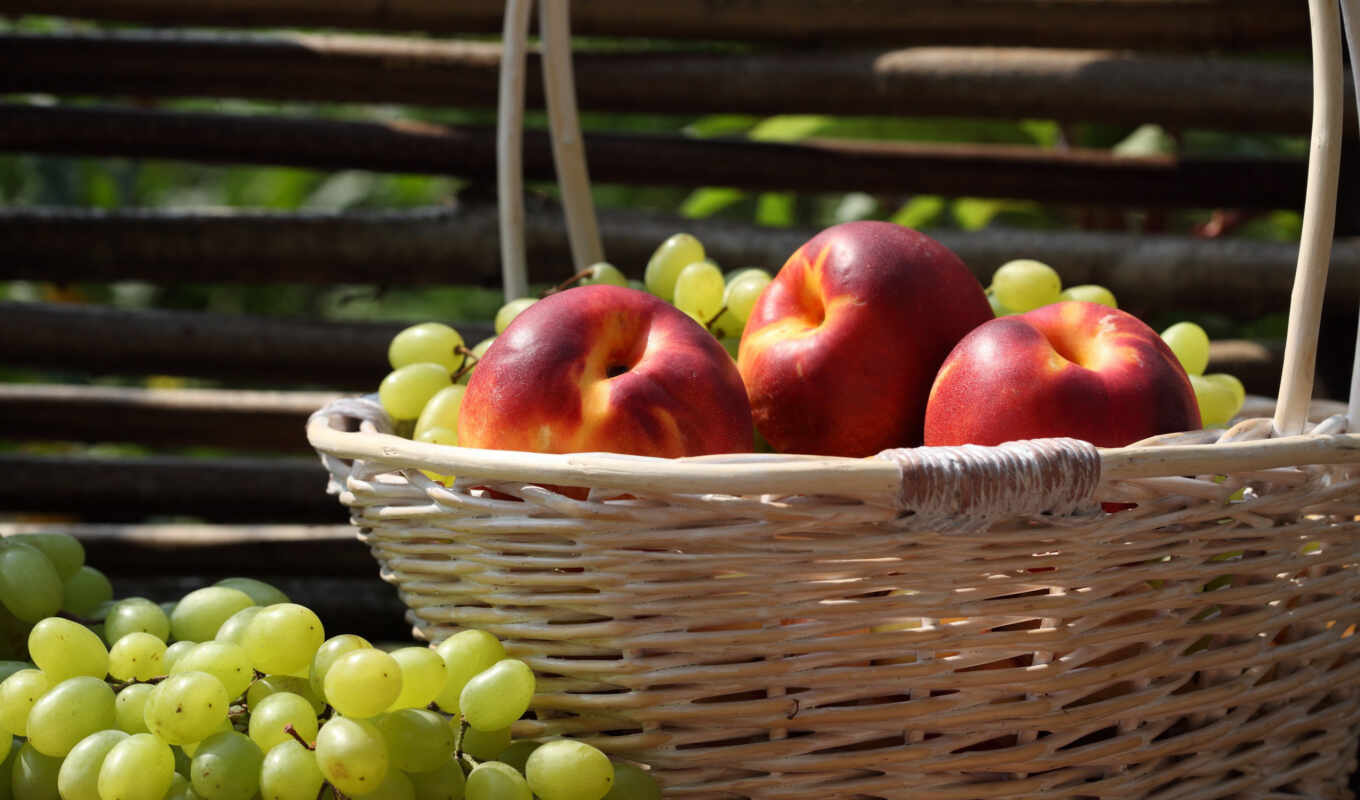 basket, grape, fence, fruits, nectarine