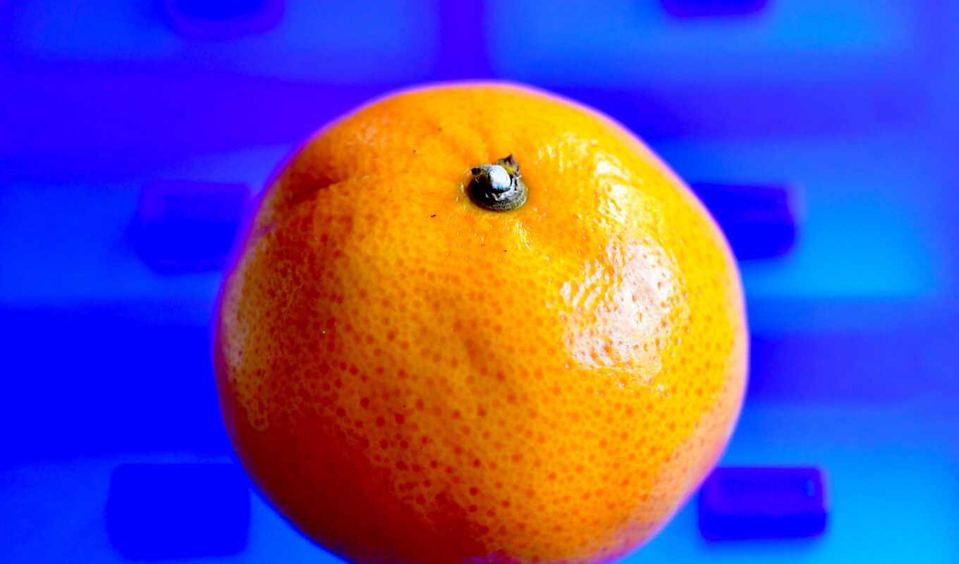 телефон, mobile, клеточка, плод, оранжевый, preview, цитрус, mandarin, smartphone, tangerine