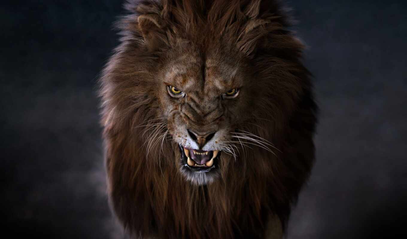 lion, left, магнитогорский