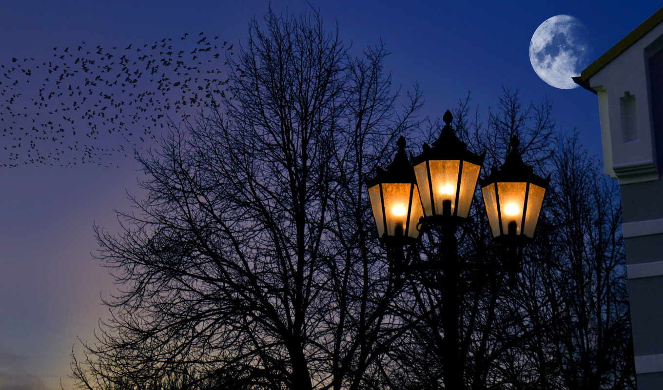 night, moon, street, lighting, lantern