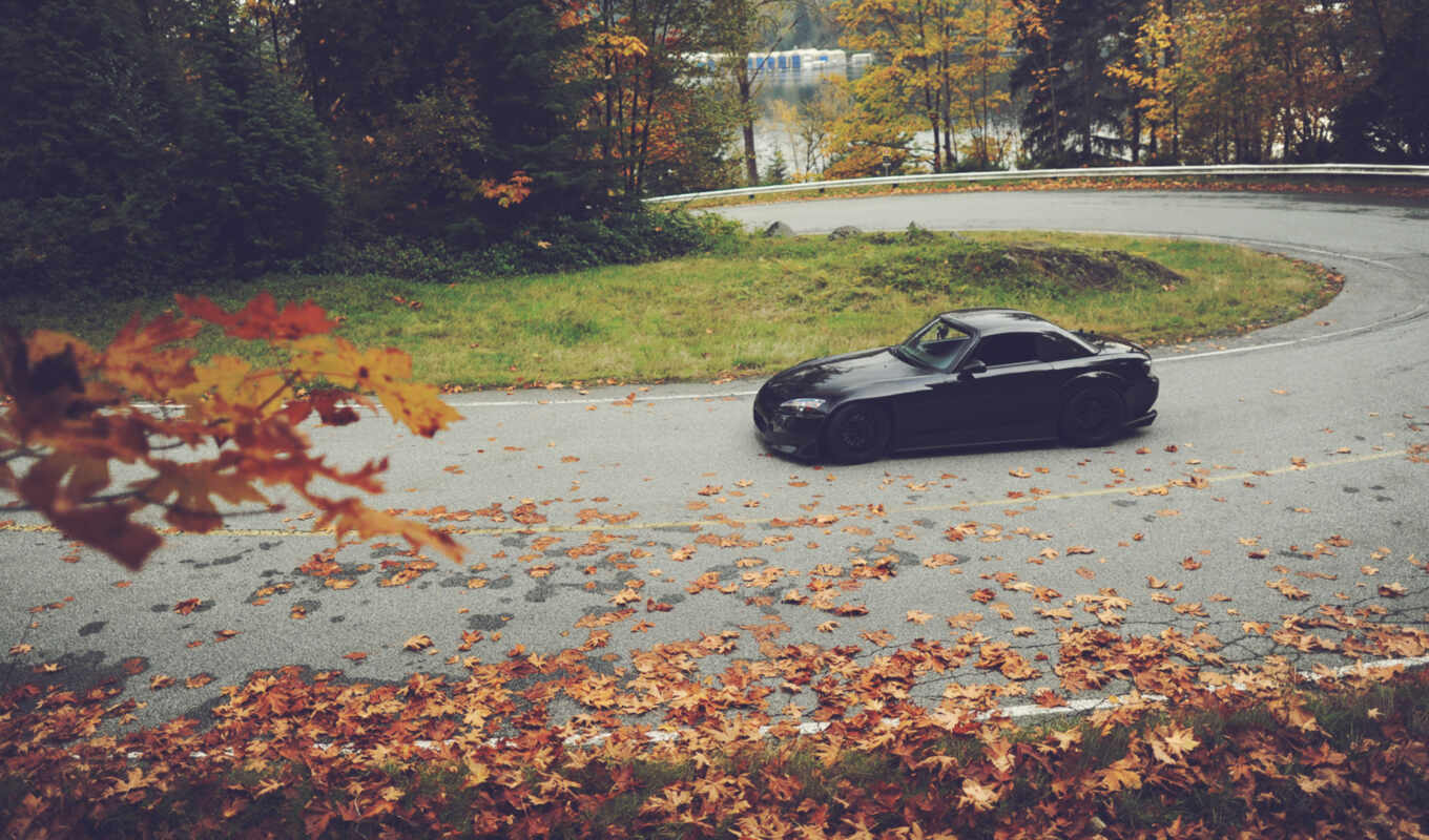 обои, black, черная, листья, осень, машины, honda