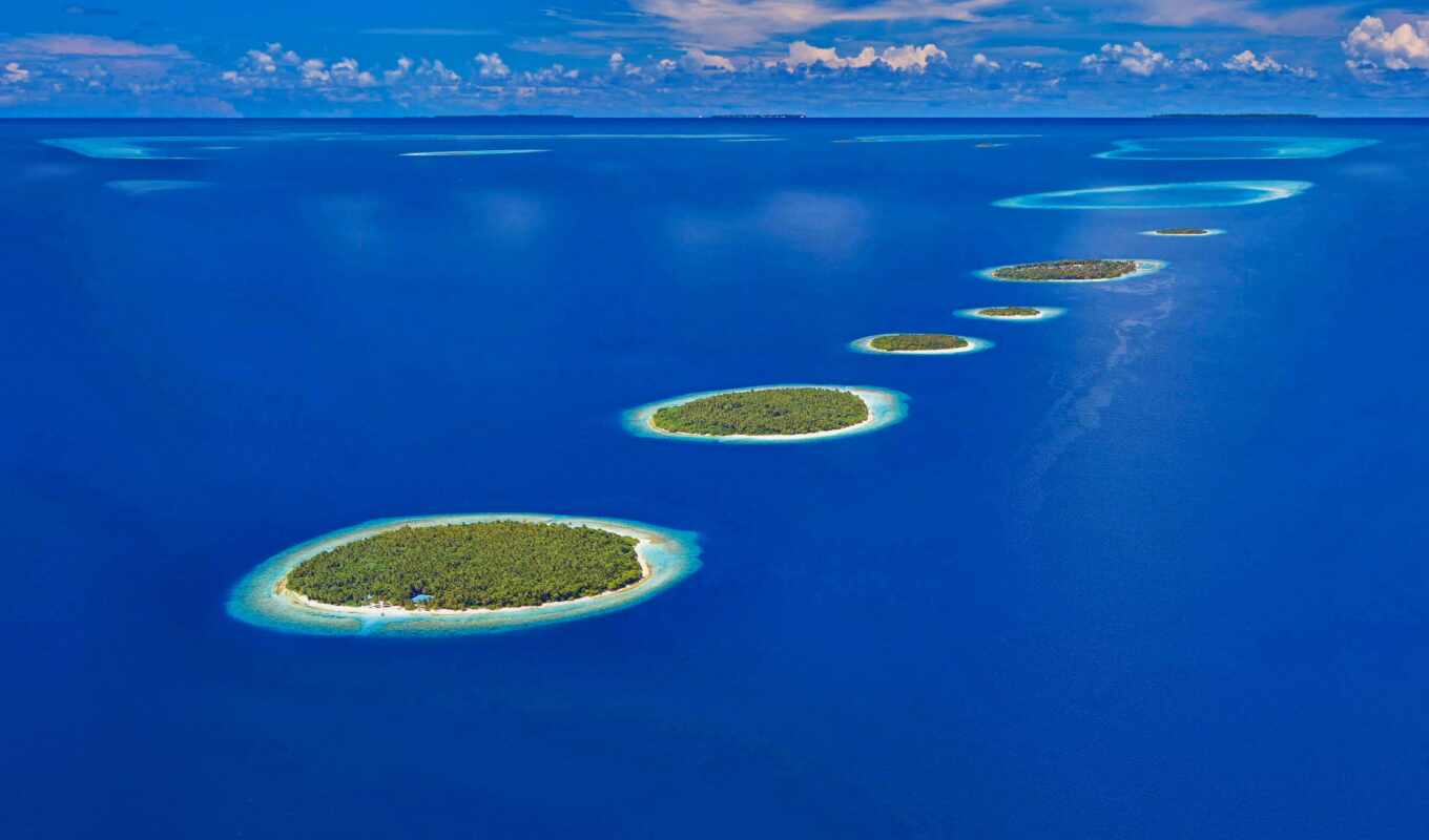 maldives, islands, tours, zhivotnye, cheerful, maldives, math