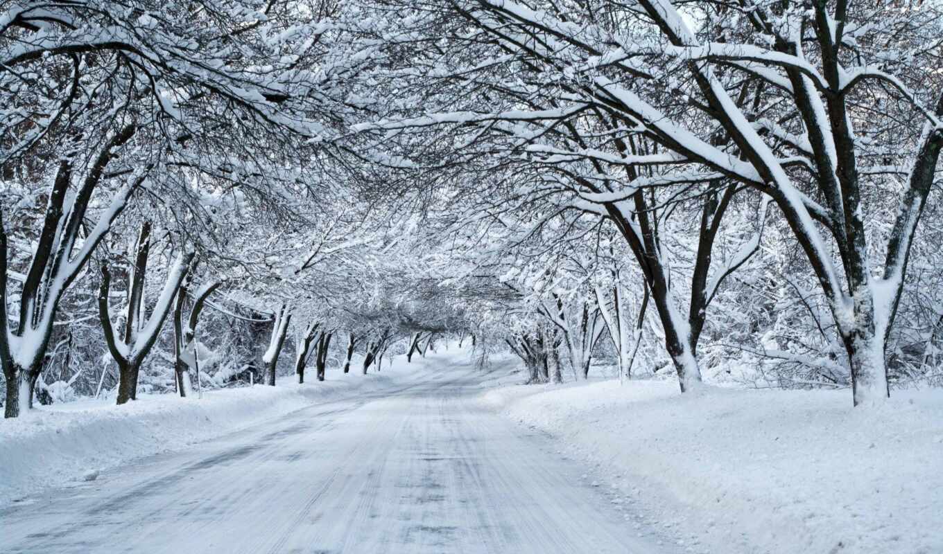 природа, снег, winter, дорога, landscape, trees, заснеженная, уходящая, вдаль
