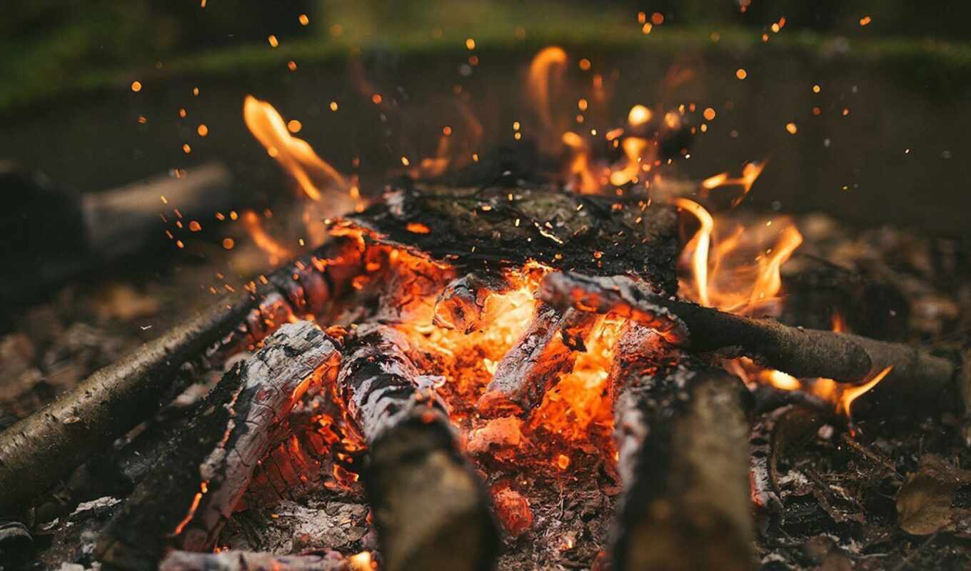 дерево, огонь, пламя, campo, пепельный, burn, camp, bonfire, goldy