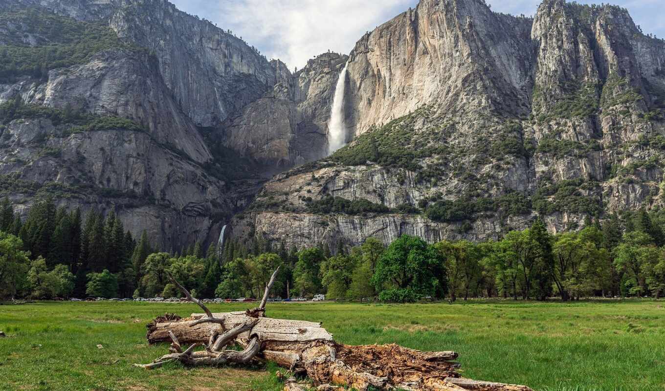 tree, water, mountain, california, mouth, spring, park, waterfall, national, valley, yosemite