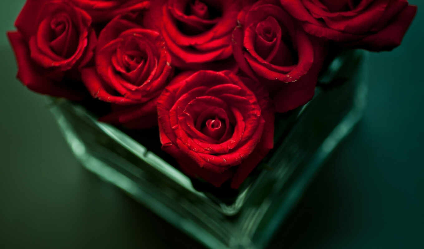 нравится, красные, розы, cvety, роз, цветов, букет, ваза, троянди
