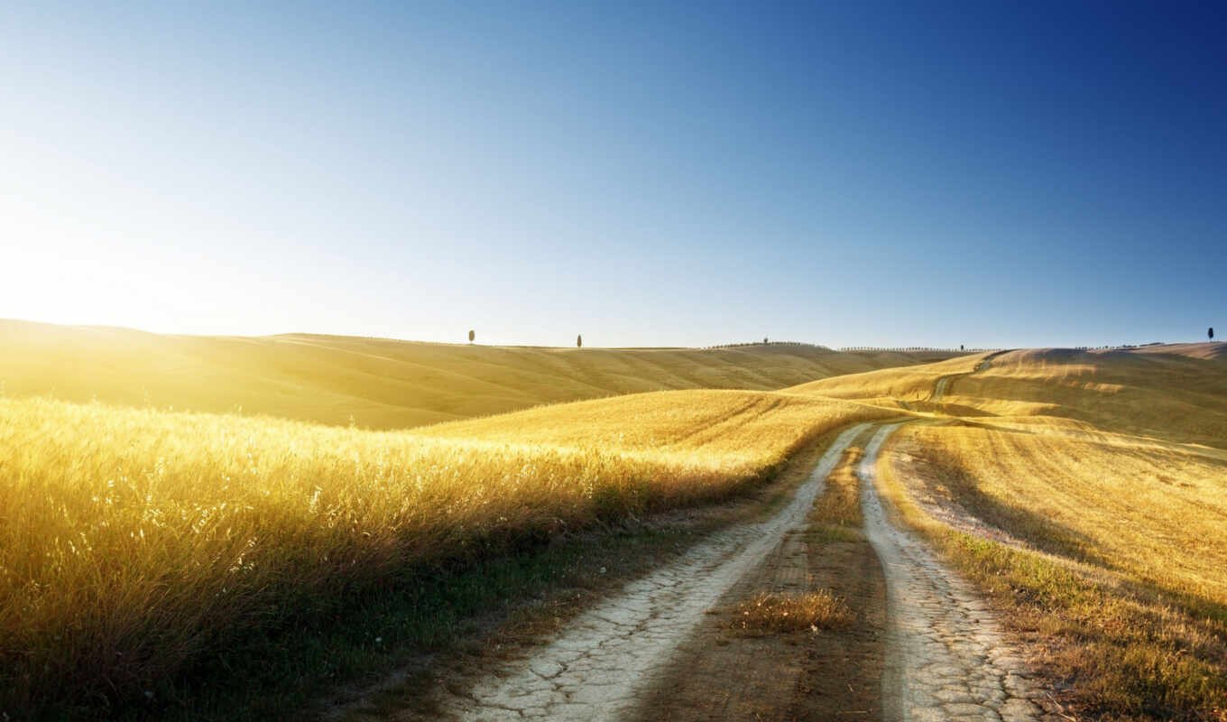 nature, sky, summer, sun, grass, road, field, wheat