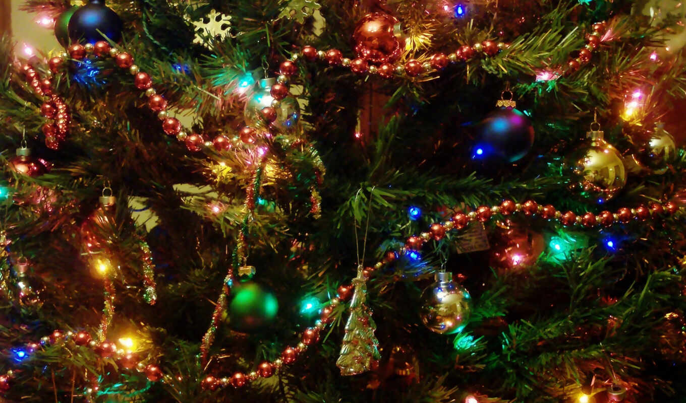 christmas trees, new-year, christmas tree, Christmas tree