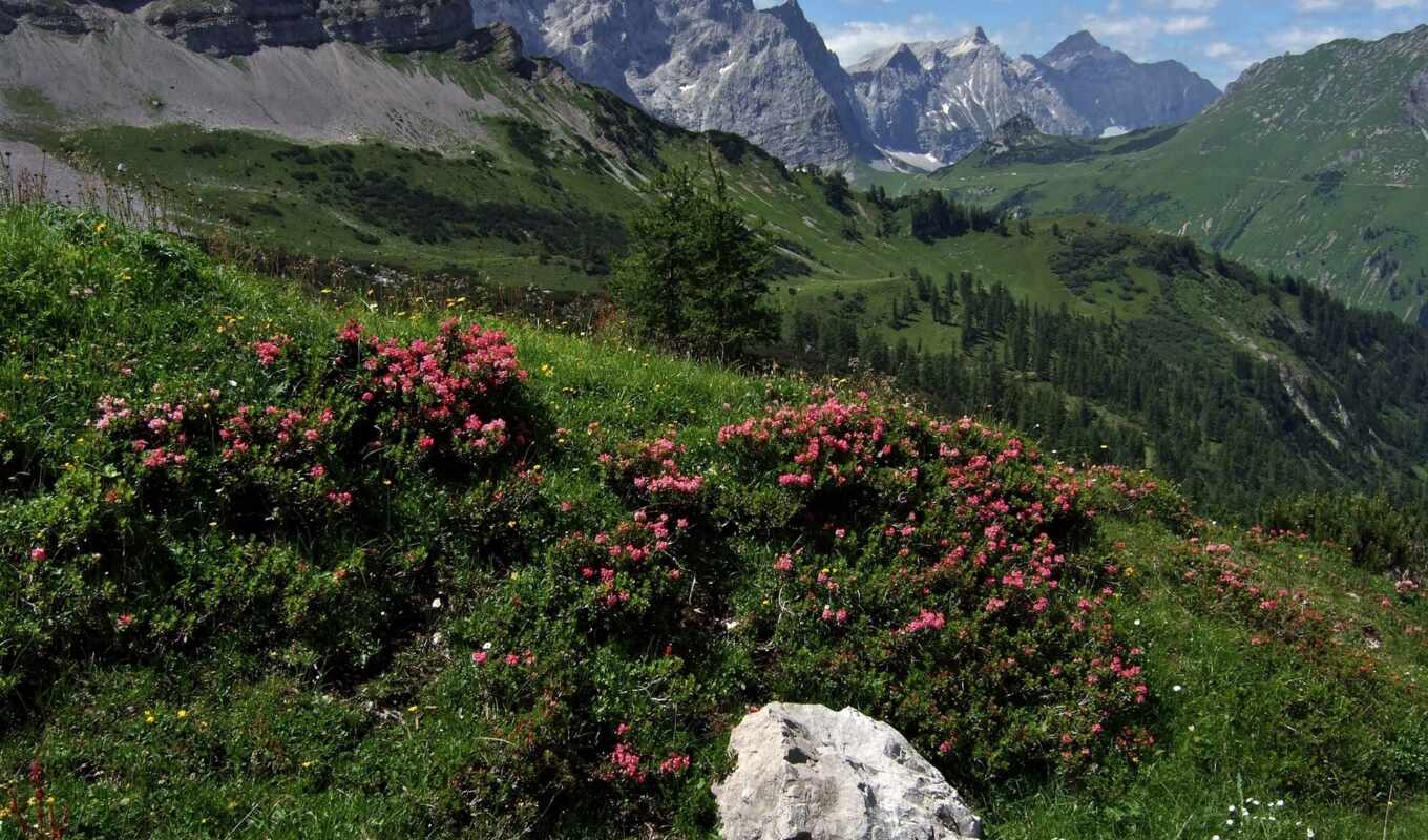 desktop, free, Austria, mountain, beauty, mountains
