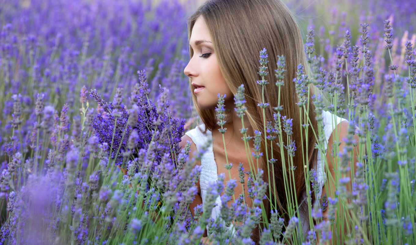 girl, profile, field, cvety, lavender, light
