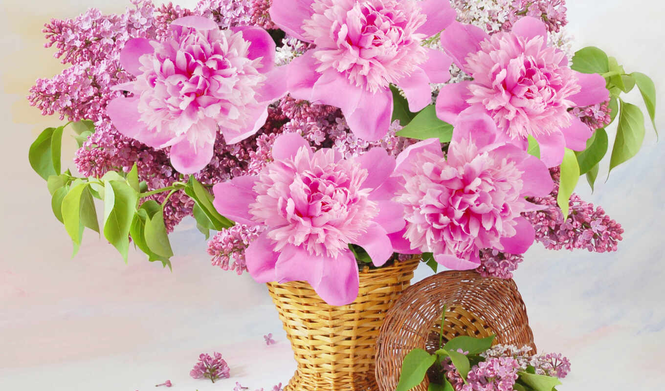 цветы, розовый, сиреневый, корзина, букет, пион