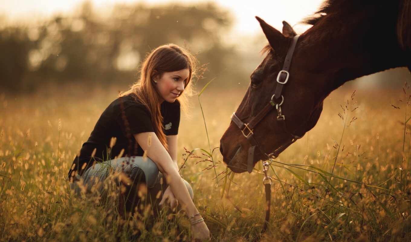 девушка, женщина, cool, лошадь, поле, модель, outdoors, cowgirl