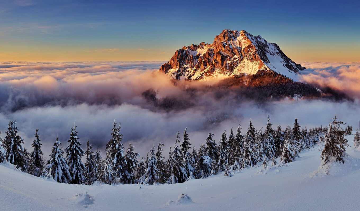 snow, winter, mountain, fog