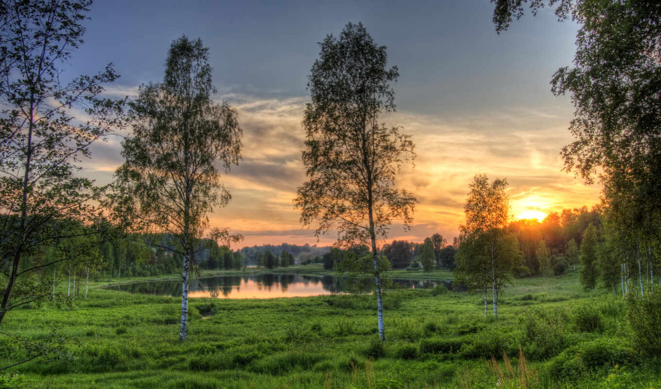 озеро, дерево, зелёный, трава, закат, gallery, во, rare, эстония, дневной, ру