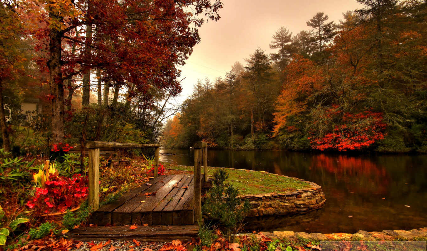 лес, мост, осень, река, wooden