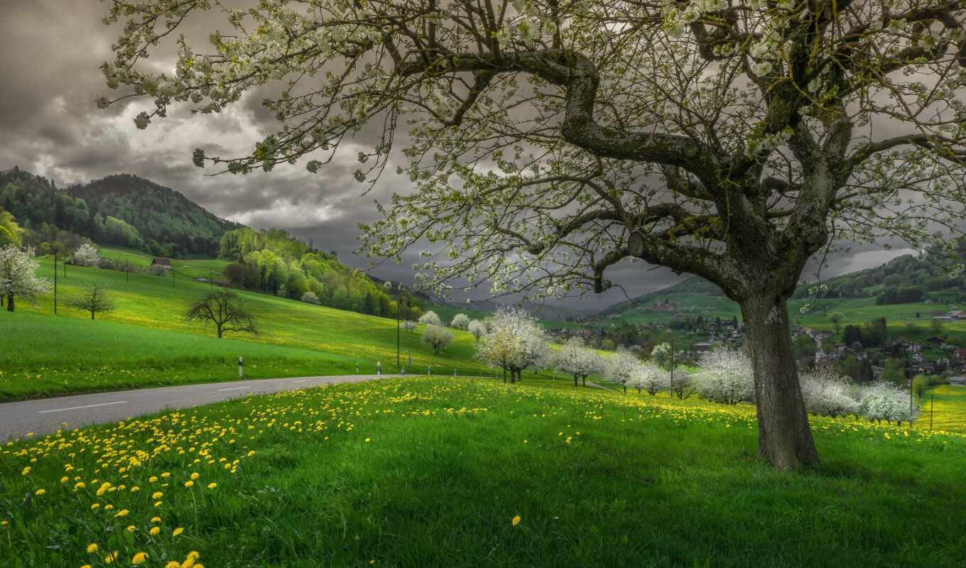 трава, гора, облако, весна, одуванчик, swiss, land, швейцария, basel, waldenburg