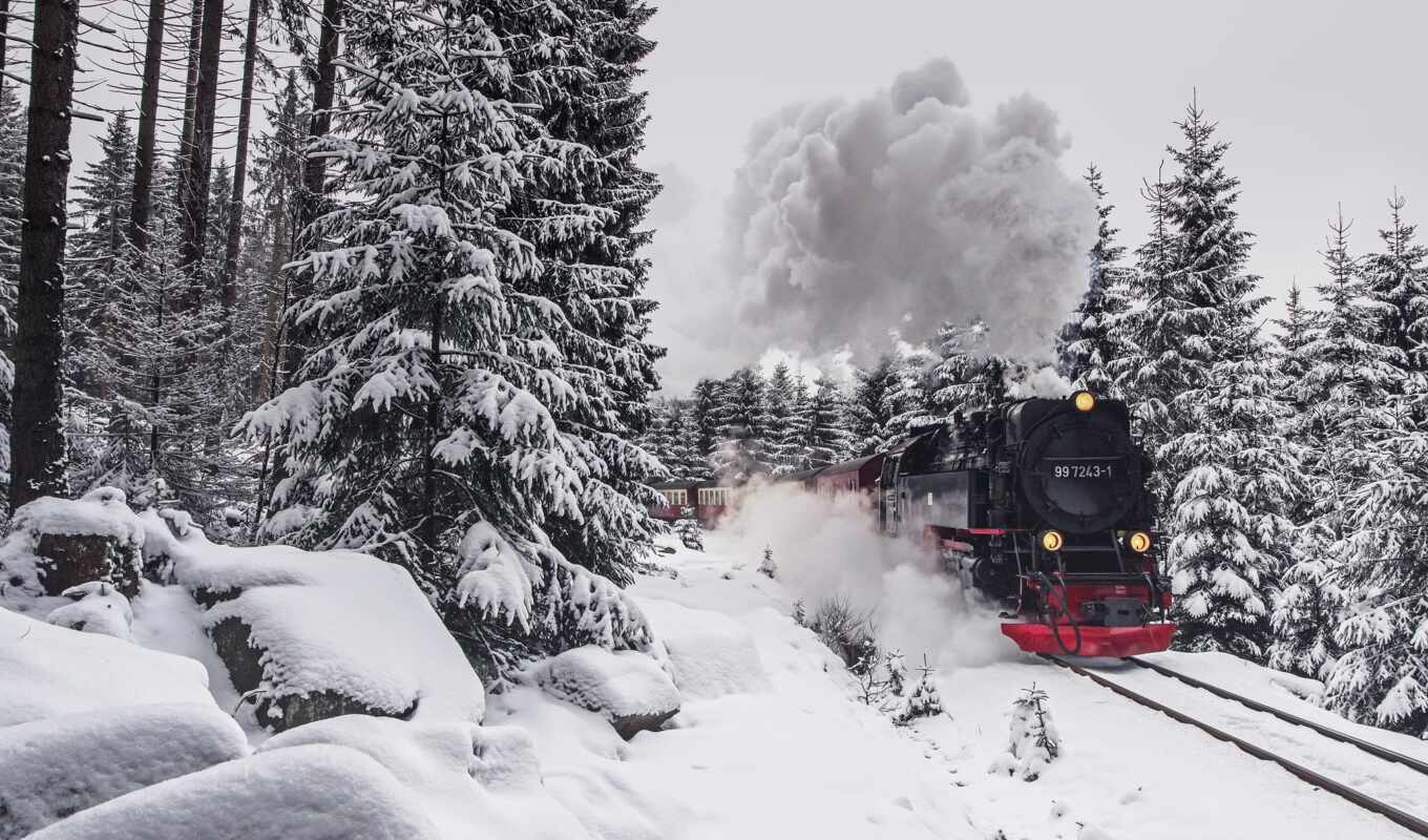 winter, лес, поезд