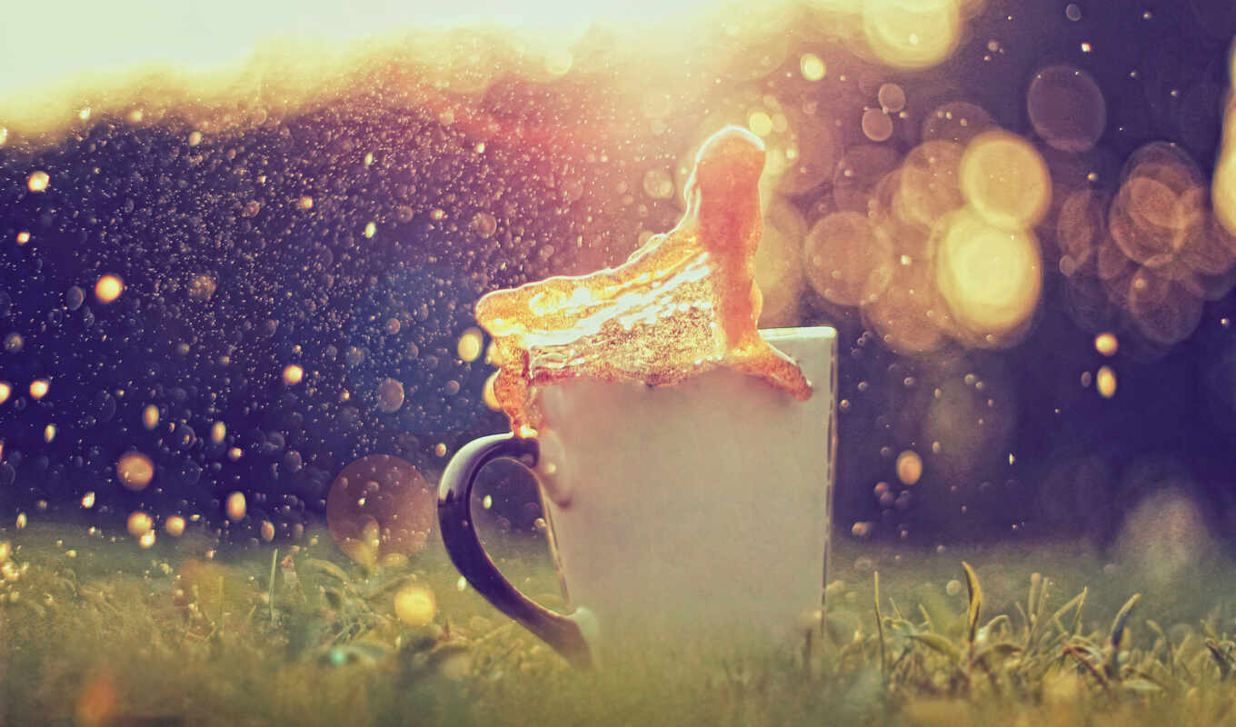 природа, coffee, свет, поле, sunlight, утро, cup, yellow, солнечный, счастье