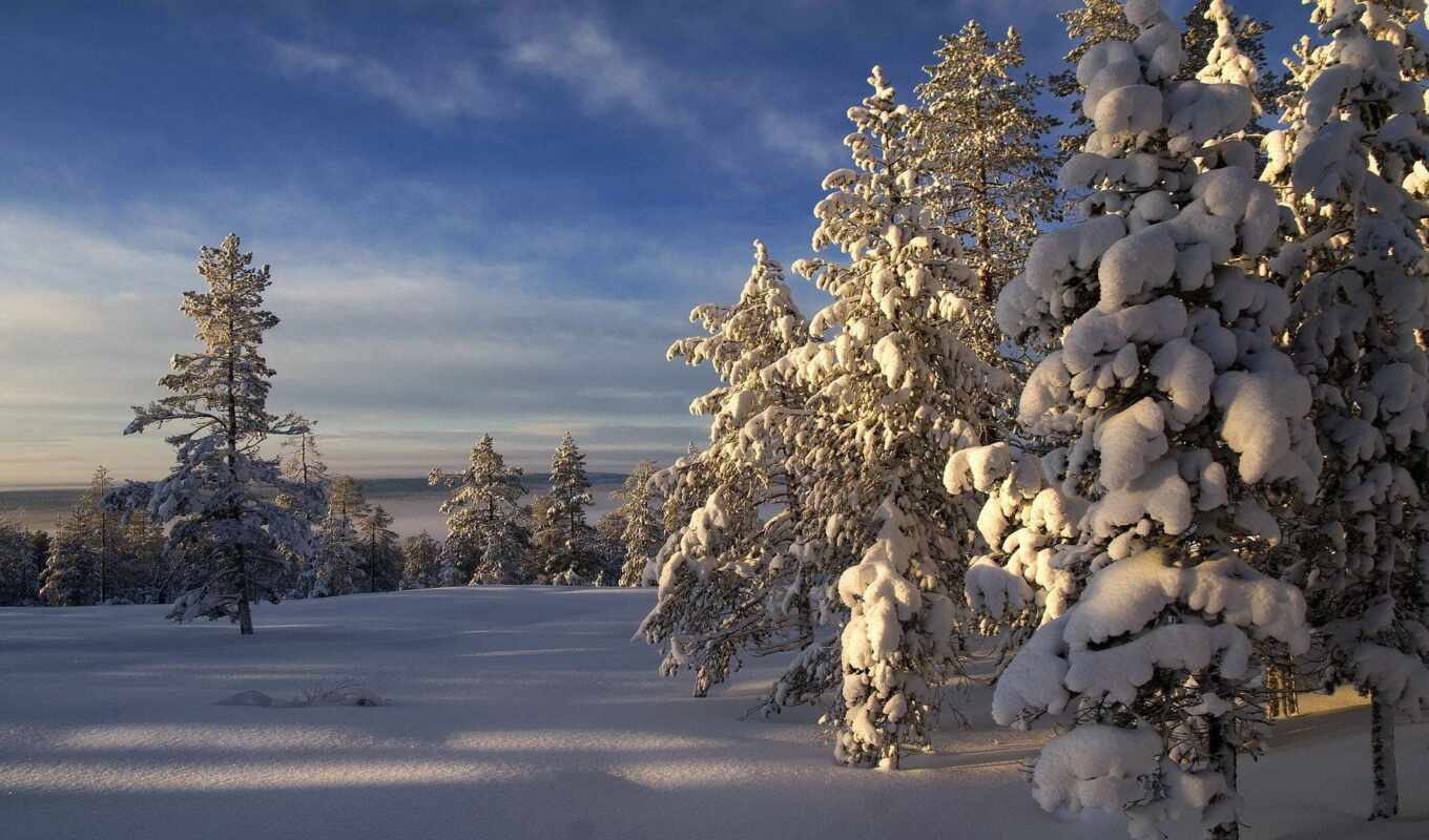 природа, картинка, дерево, снег, winter, найти, красивый, freezing, тыс, юге