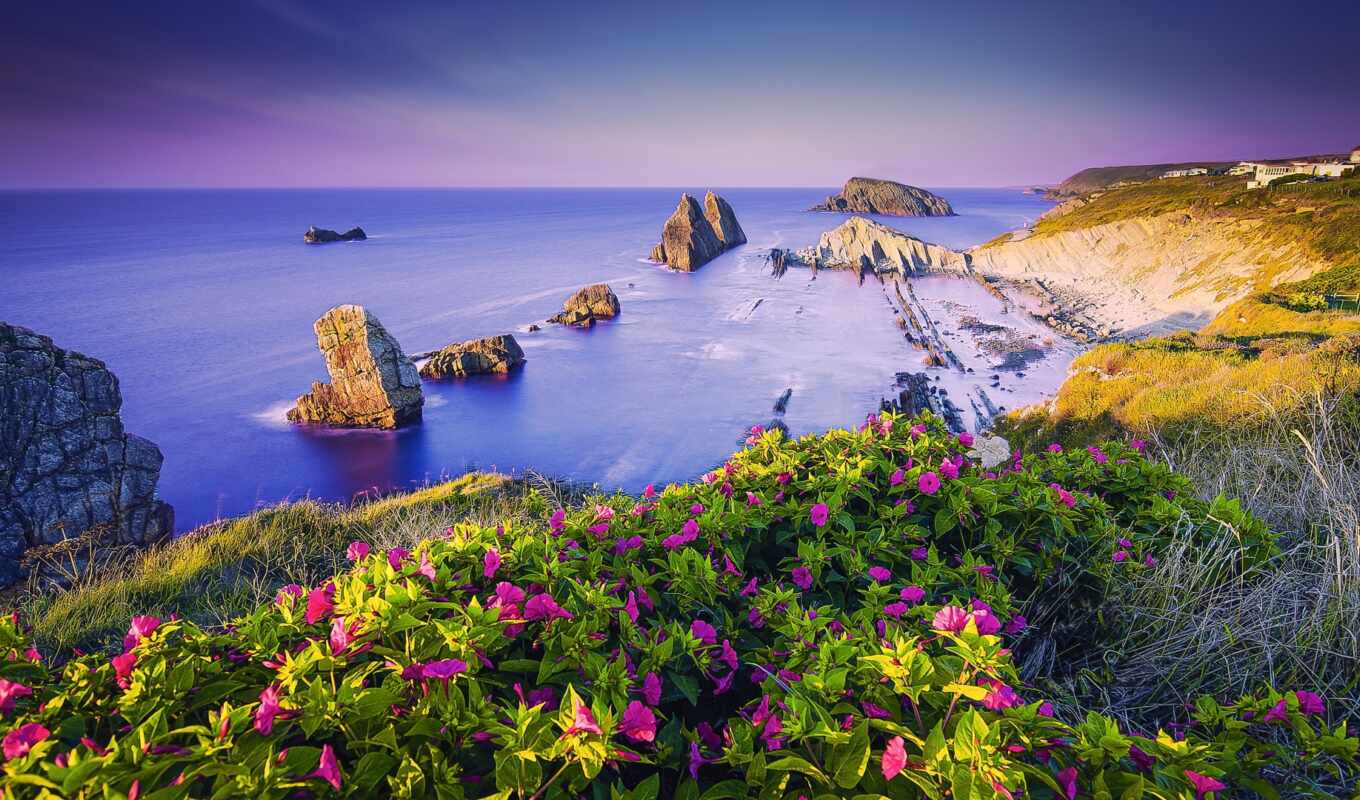 flowers, beach, sea, gallery, ocean, coast, coast, Spain, quebrada, cantabrium