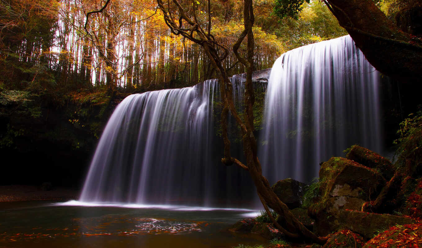 collection, picture, gif, animation, autumn, яndex, waterfalls, animations, wishes, collections