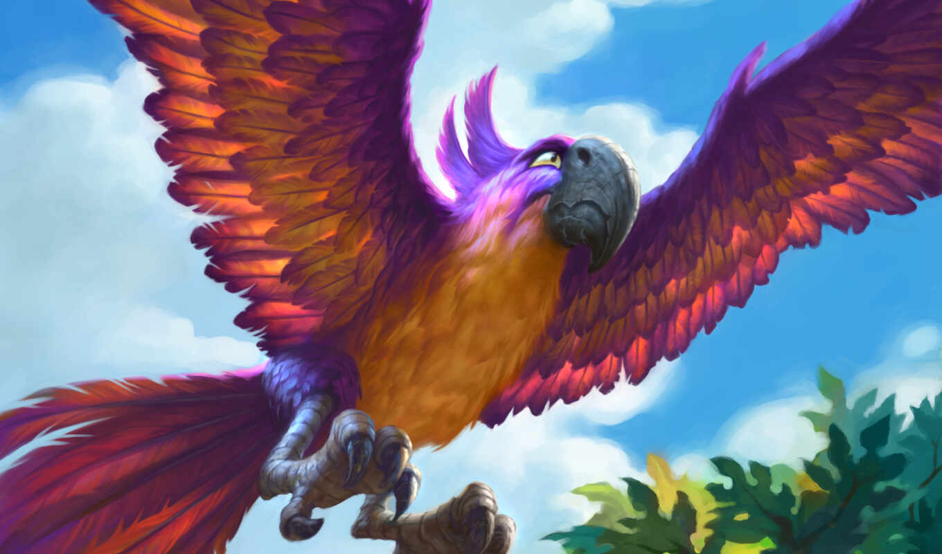 may, mountain, name, card, macaw, journey, hearthstone, jewellery