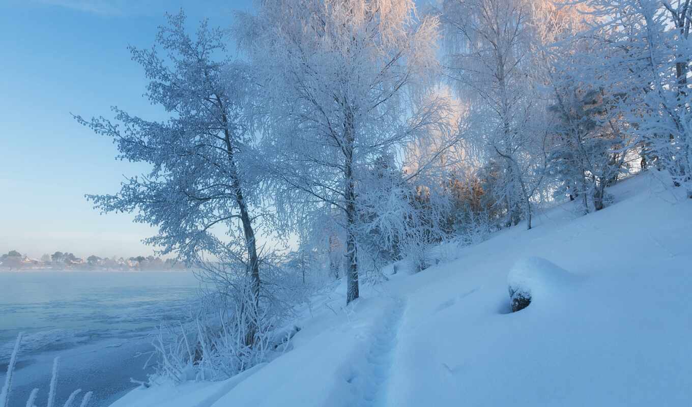 дерево, снег, winter, река