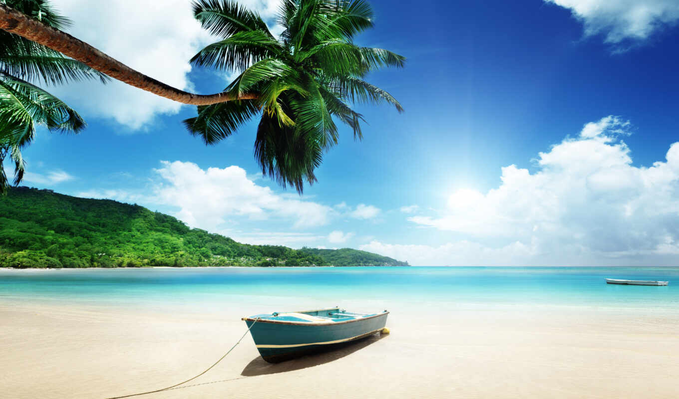 корабль, пляж, marine, palm, лодка
