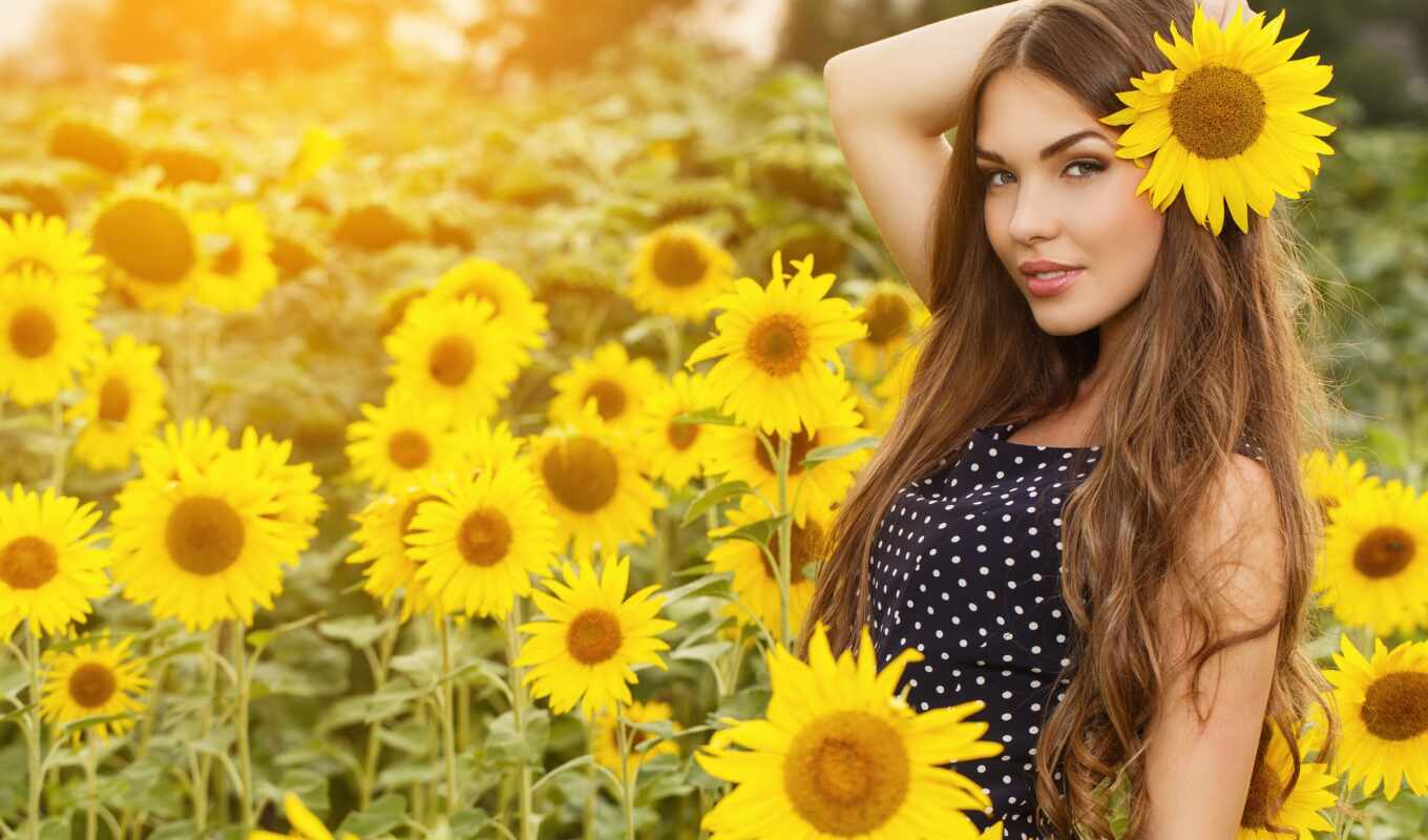 photo, field, sunflower, pose, or, picture, field, image, free, girassol, freepikpage