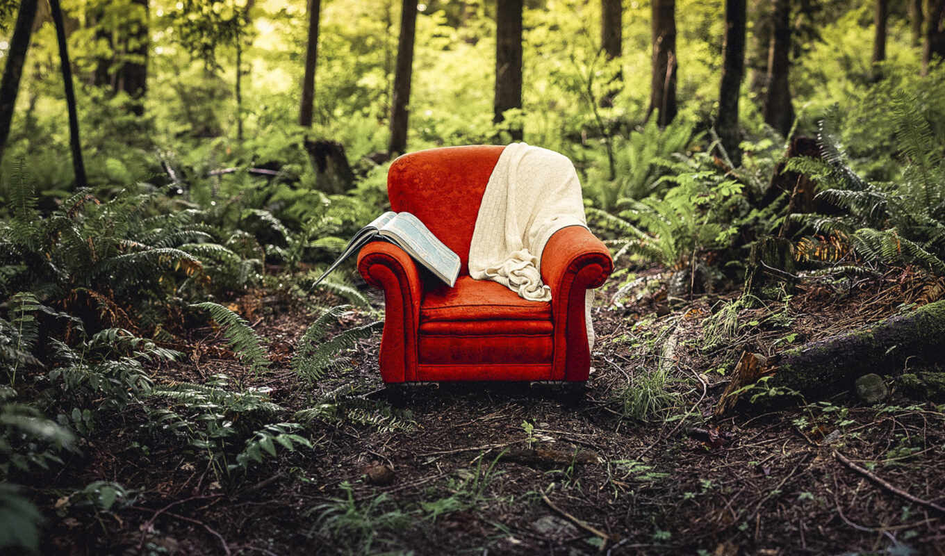книга, red, лес, кресло, photos, tags, trees, полянка, дерево, wood, flickr