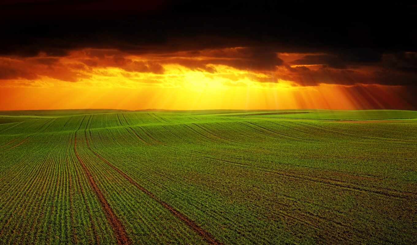 поле, облако, ферма, rural