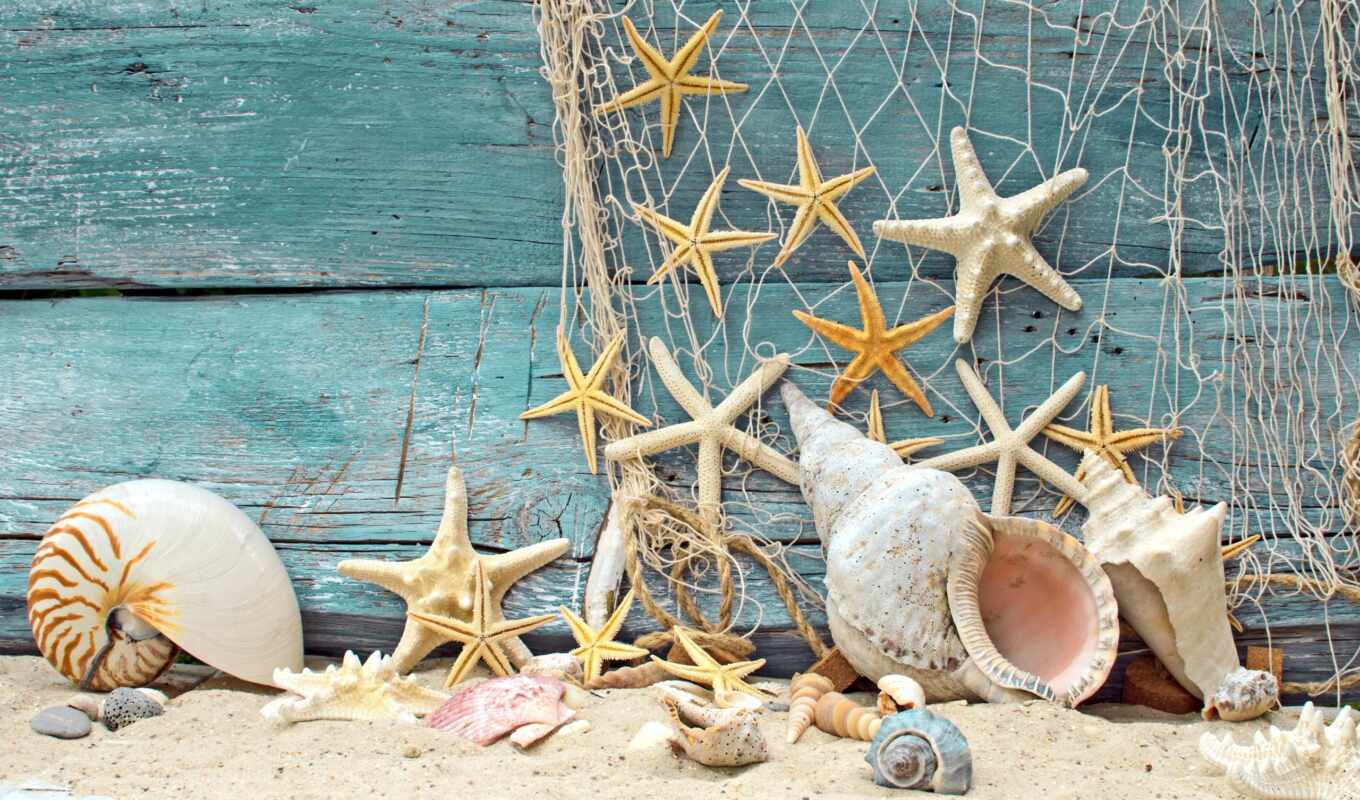 разное, сетка, песок, звезды, marine, ракушки, морские, wood, starfish, seashells