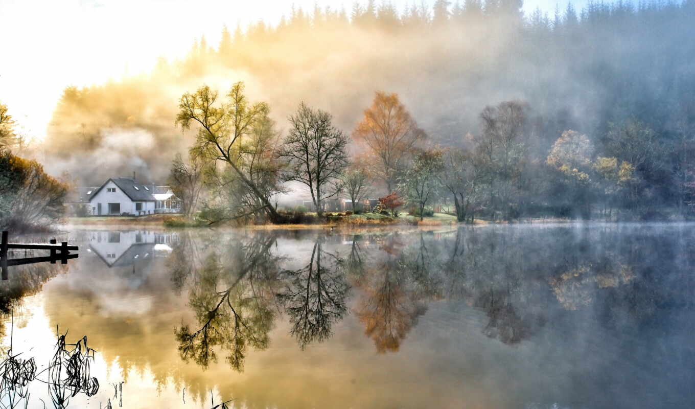 озеро, природа, desktop, house, лес, живопись, утро, туман