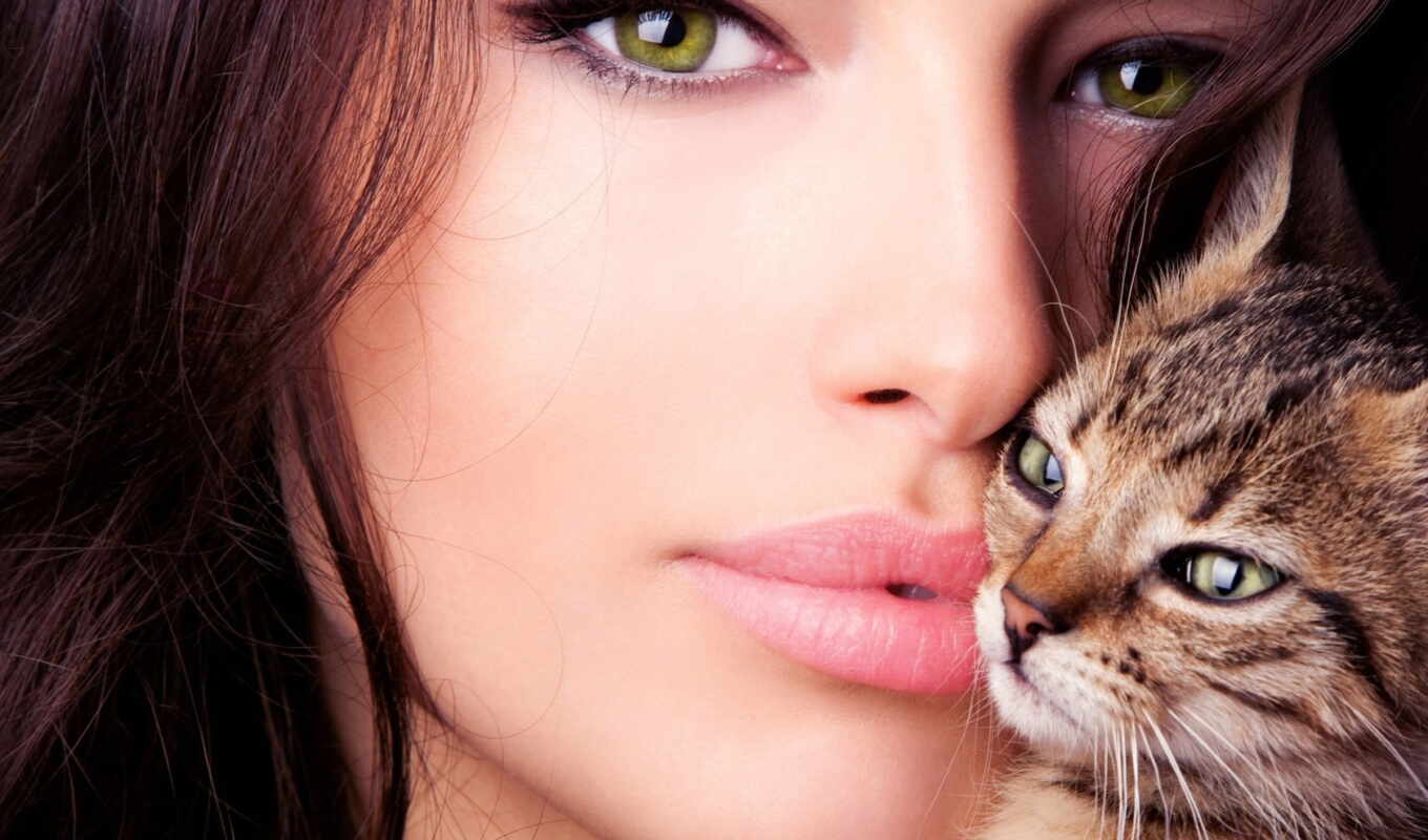 girl, eyes, cat