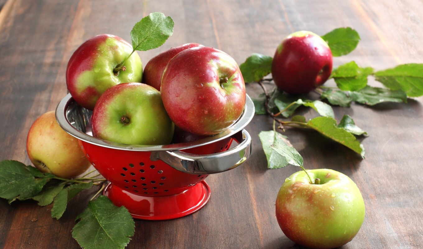 apple, summer, autumn, day, apples, apples, variety, yablonya