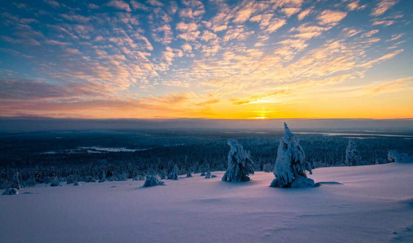 снег, winter, лес, море, trees, lapland, финляндия, zima, kanada, stromy