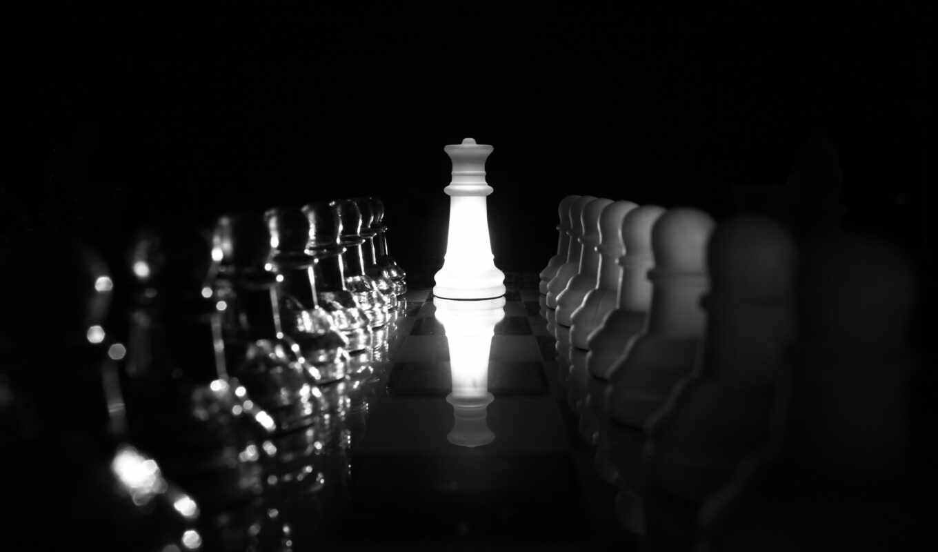 queen, chess, гамбит, pawn