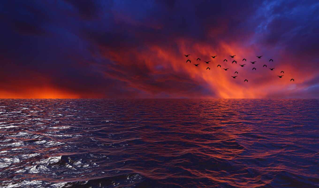 sky, sunset, water, sea, ocean, bird, horizon