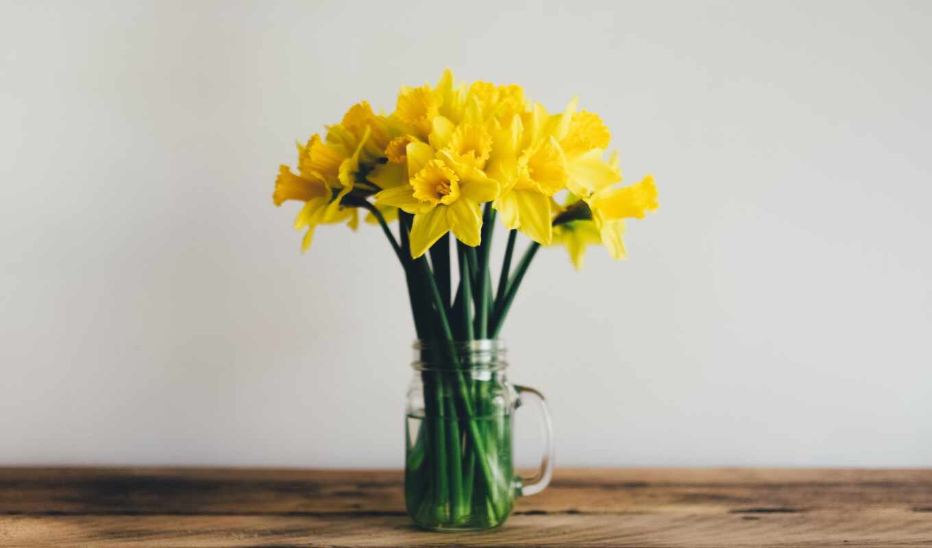 flowers, yellow, vase, congratulation, goodness