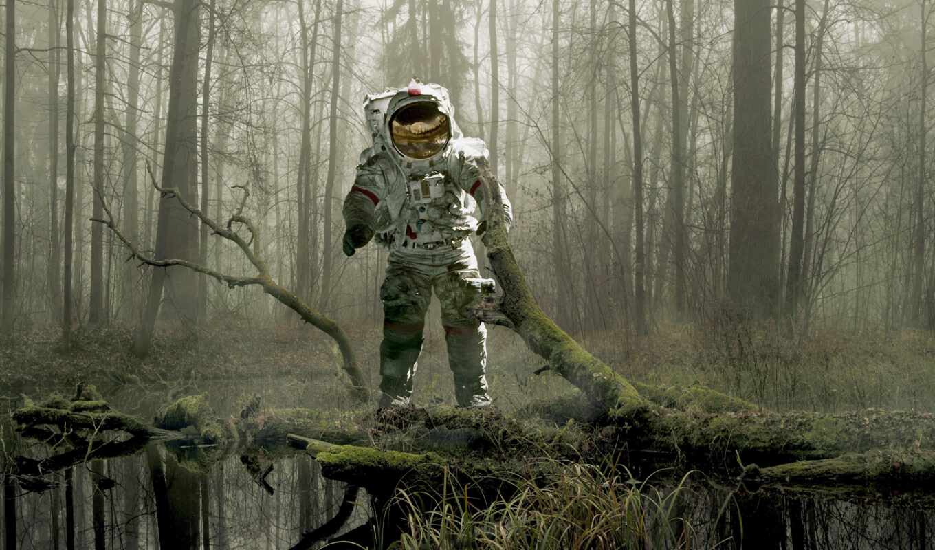 background, sun, tree, space, earth, suit, the, astronaut, fore, conversation, airship